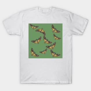 Death's Head Moths Sage T-Shirt